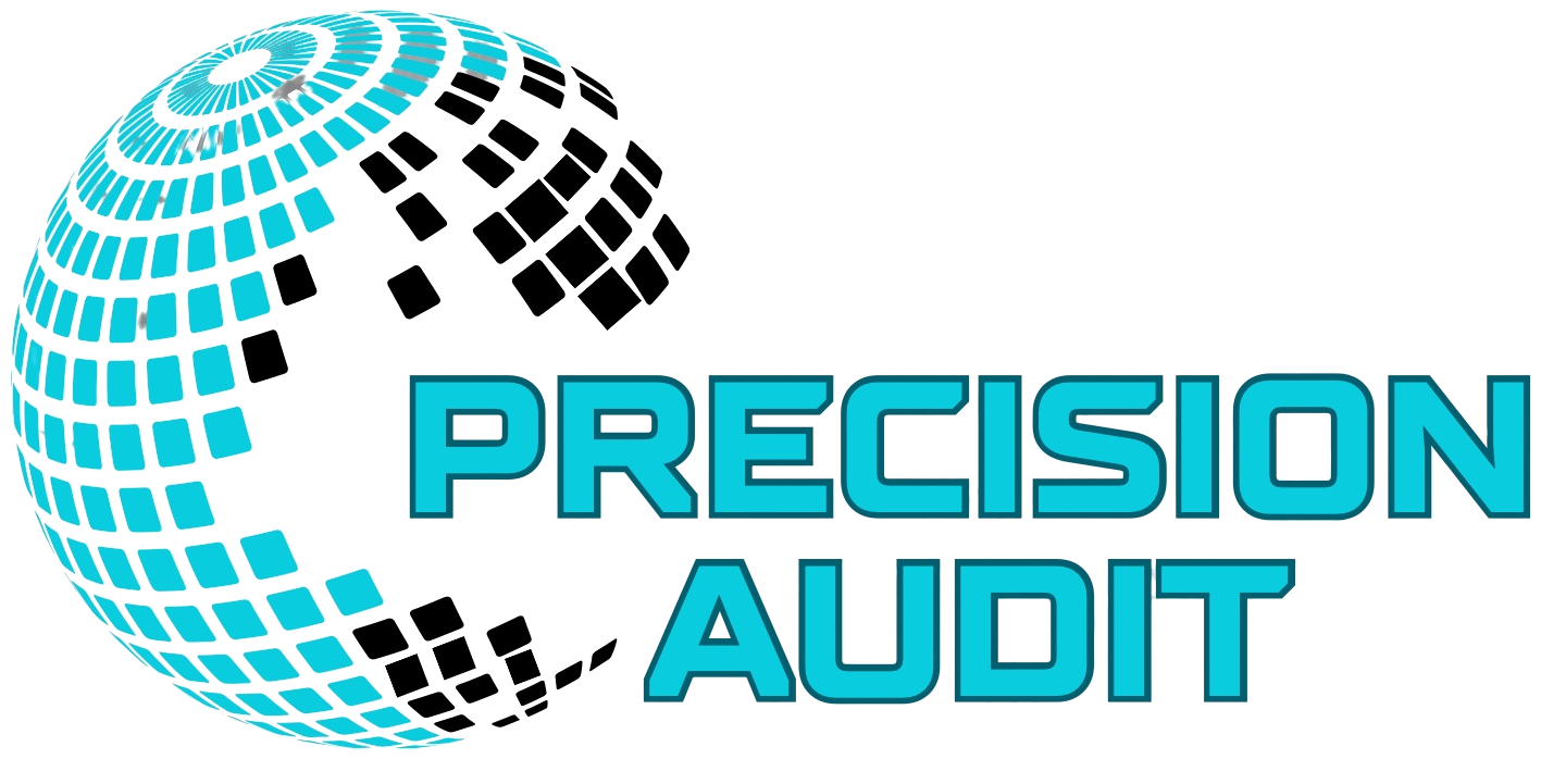 Precision Audit LLC